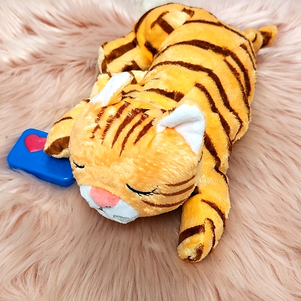 Brand New PETS KNOW BEST HUGGIE KITTY-*NOTE*